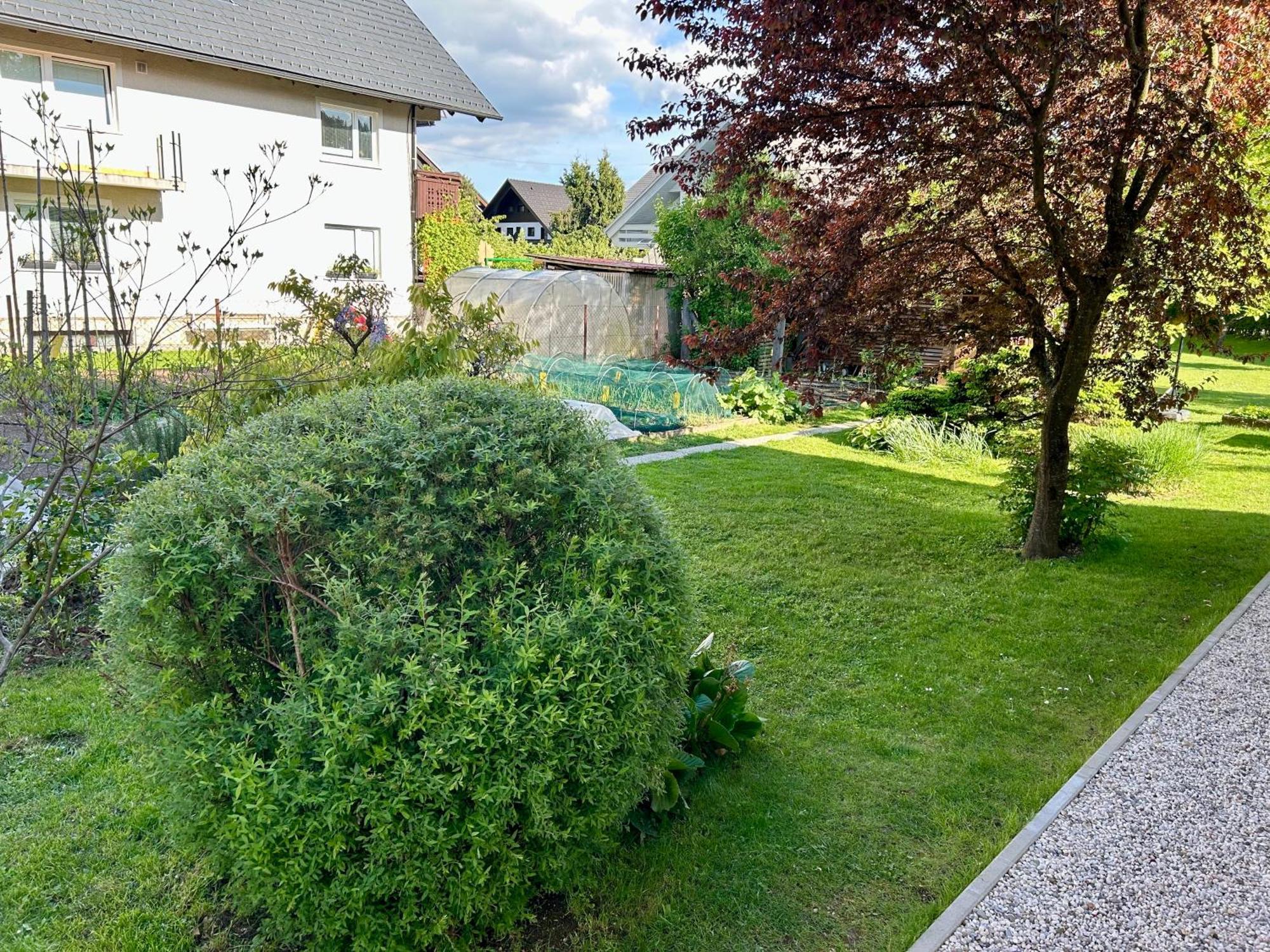 Apartment Gallus Bled Eksteriør billede
